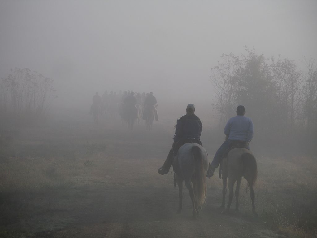 PA310319.JPG