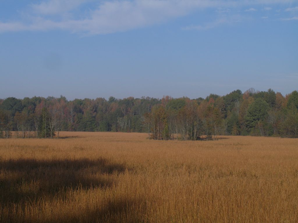 PA310320.JPG