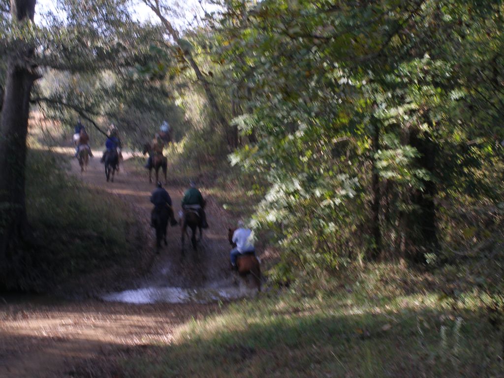 PA310327.JPG