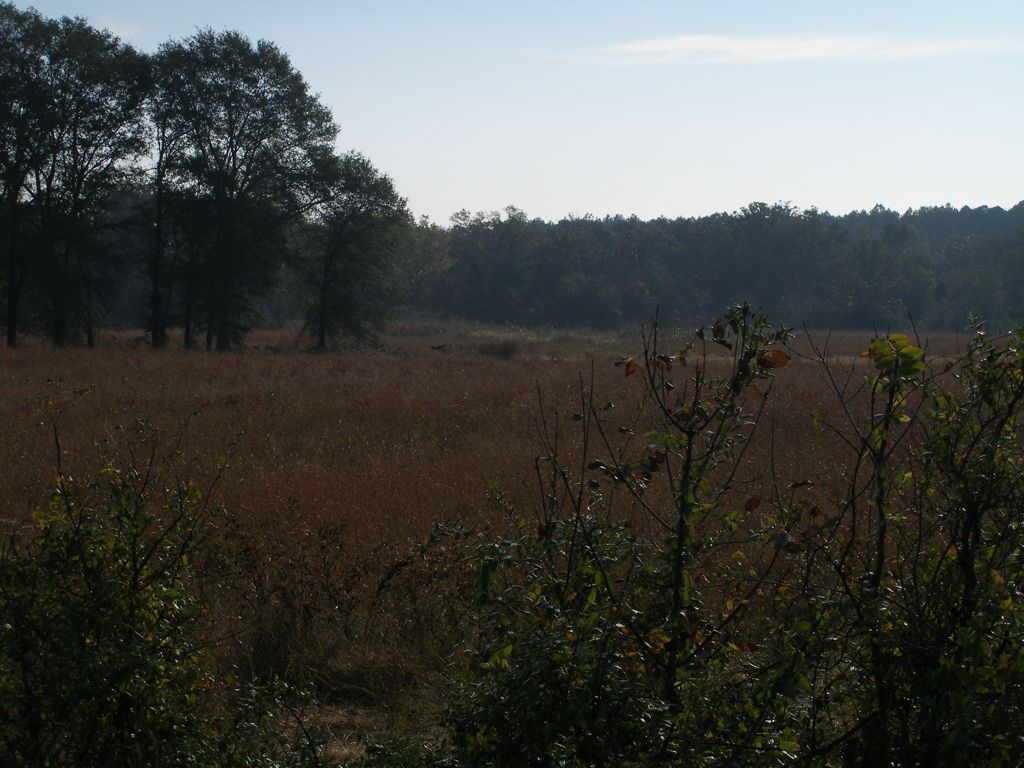 PA310328.JPG