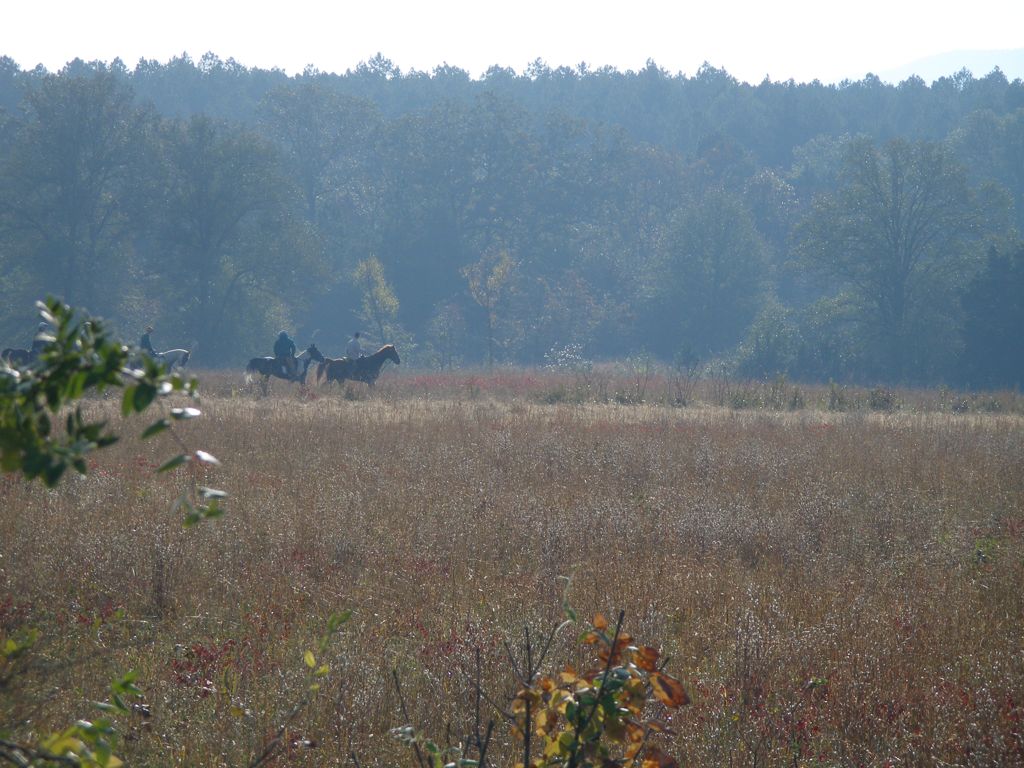 PA310329.JPG