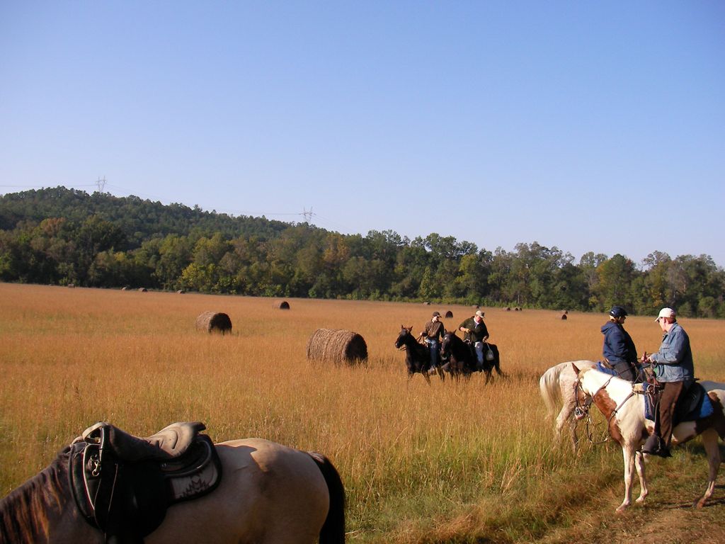 SANY0144.JPG