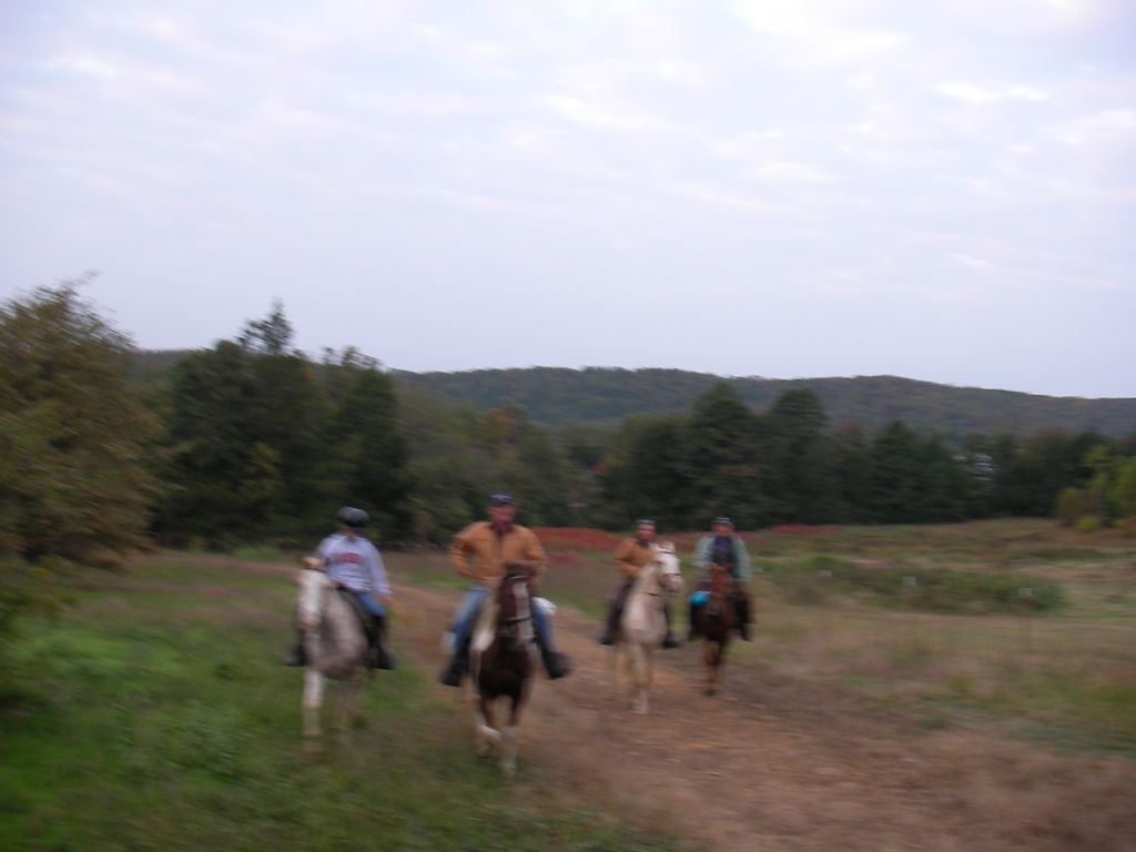 SANY0056.JPG