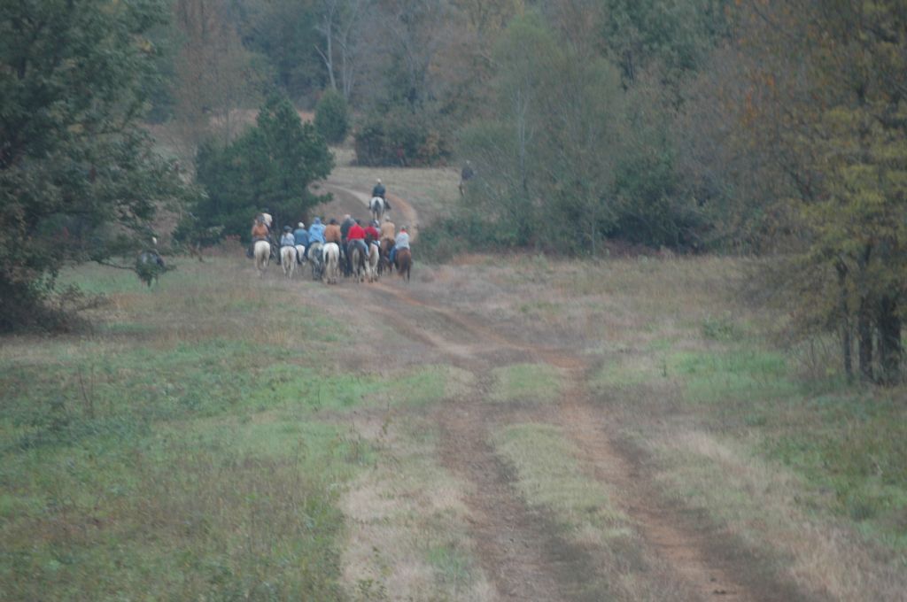 DSC_0207.JPG
