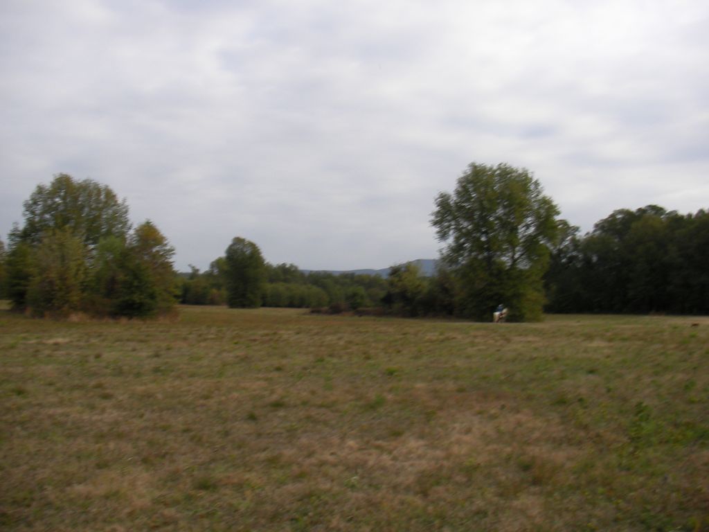 SANY0075.JPG