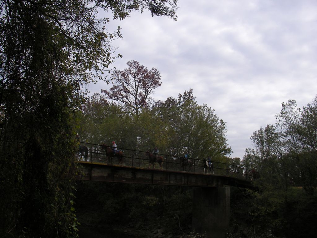 SANY0081.JPG