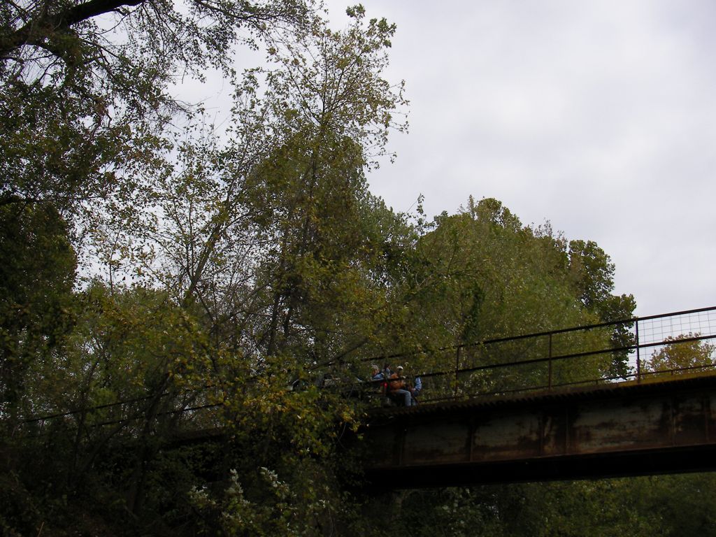 SANY0082.JPG
