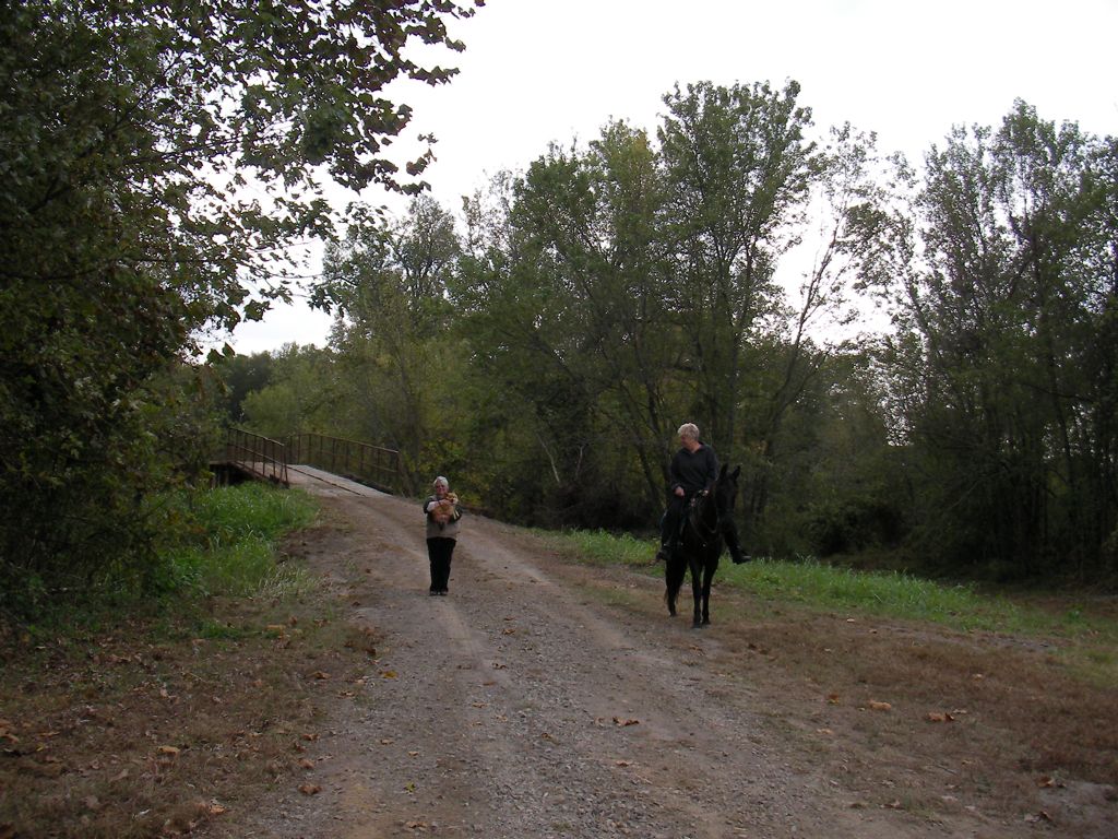 SANY0083.JPG