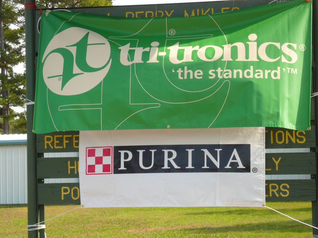P1000316.JPG