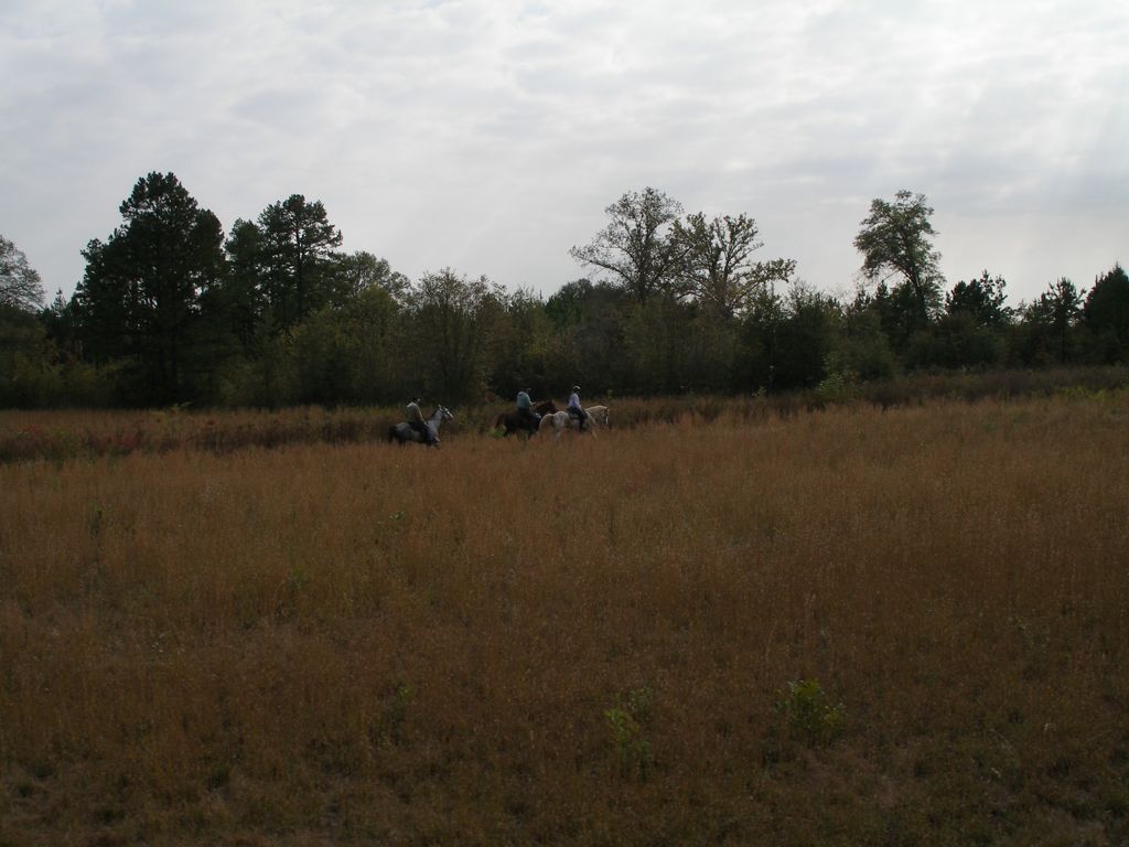 PB010340.JPG