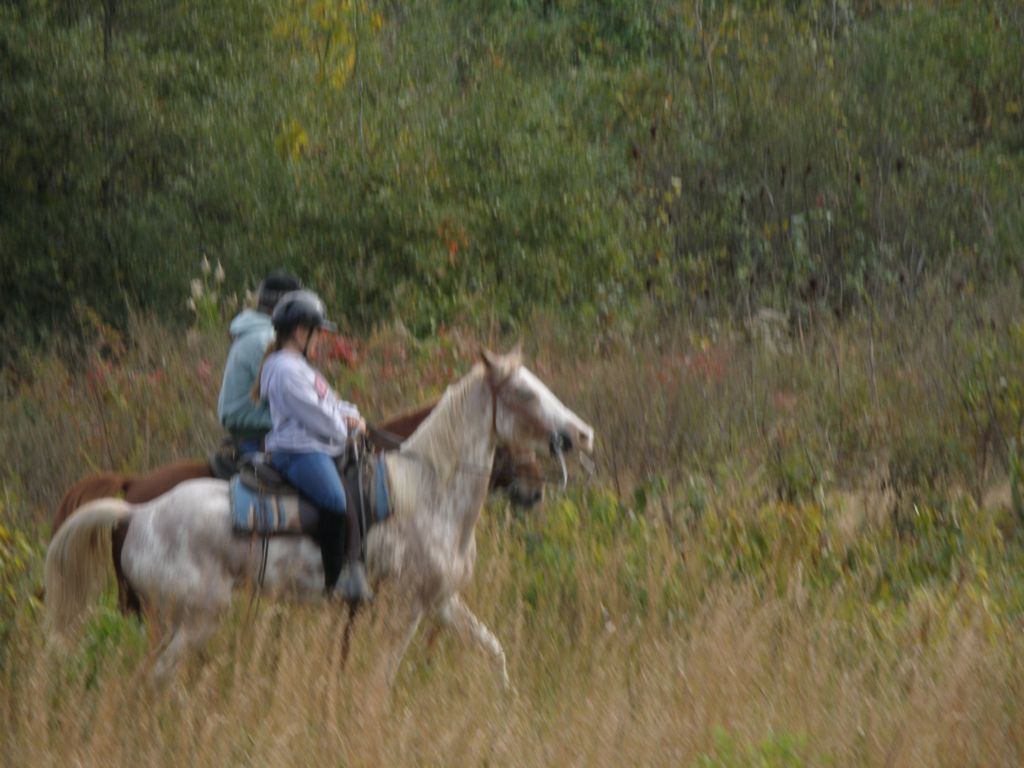 PB010341.JPG