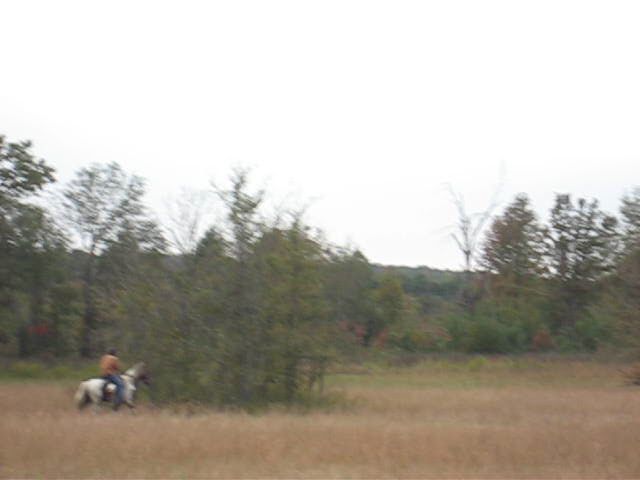 MVI_0605