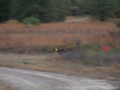 PB020352.JPG