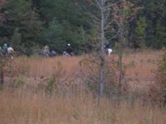PB020354.JPG