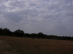 SANY0023.JPG