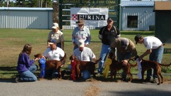 DSC01442.JPG
