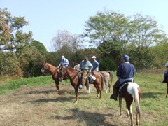 DSCF0641.JPG