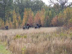DSCF0644.JPG