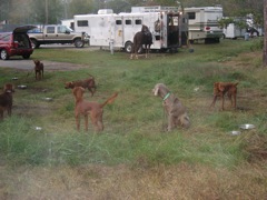 IMG_0723.JPG