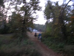 SANY0044.JPG