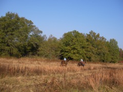 SANY0055.JPG