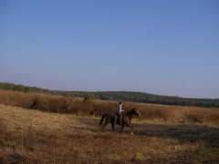 SANY0058.JPG