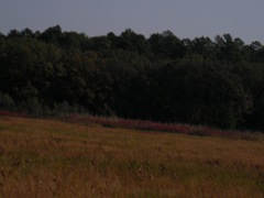 SANY0061.JPG