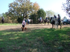 DSC01150.JPG