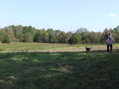 DSCF0667.JPG