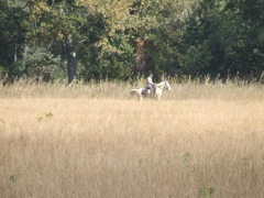 DSCF0671.JPG