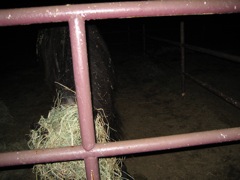 IMG_0995.JPG