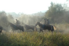 DSC_0120.JPG