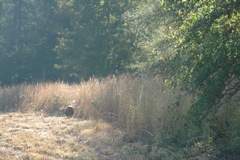 DSC_0136.JPG