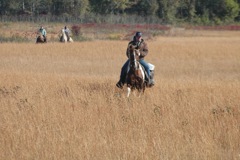 DSC_0141.JPG