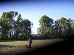 000_0007.JPG