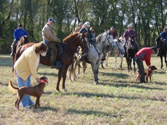 DSC00953.JPG