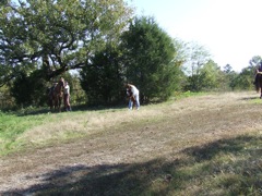 DSCF0568.JPG