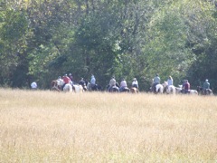 DSCF0573.JPG