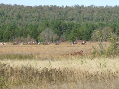 DSCF0574.JPG