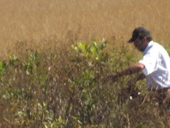 IMG_1047.JPG