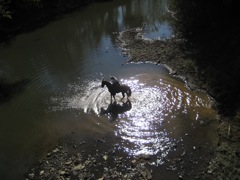 IMG_1050.JPG