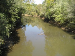 IMG_1051.JPG