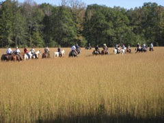 IMG_1052.JPG