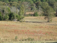 DSCF0576.JPG
