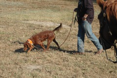 DSC_0163.JPG