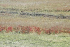 DSC_0166.JPG
