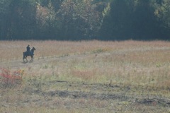 DSC_0167.JPG