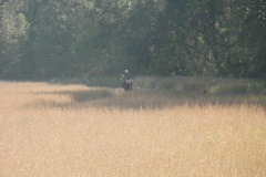 DSC_0170.JPG