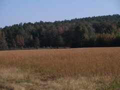 PA300298.JPG