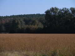 PA300299.JPG